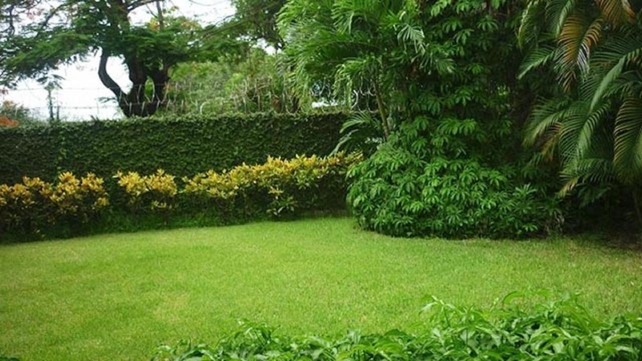 Hotel El Bramadero Ліберія Екстер'єр фото